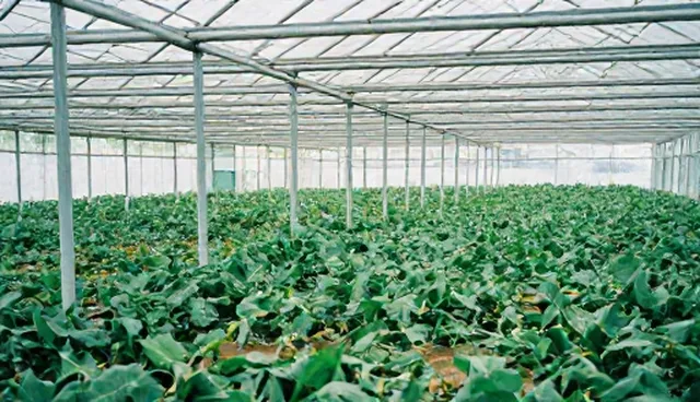 个性化需求:系统集成如何满足多样化业务场景