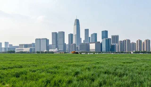网站维护在公众号开发中的关键应用场景分析