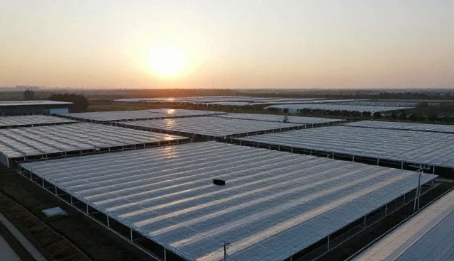技术适配在多场景网站维护中的实际应用分析
